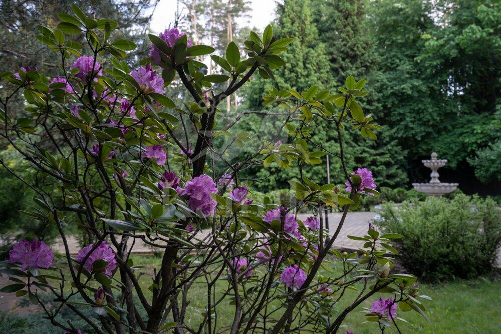 3-этажный коттедж 1 000 м² с отделкой