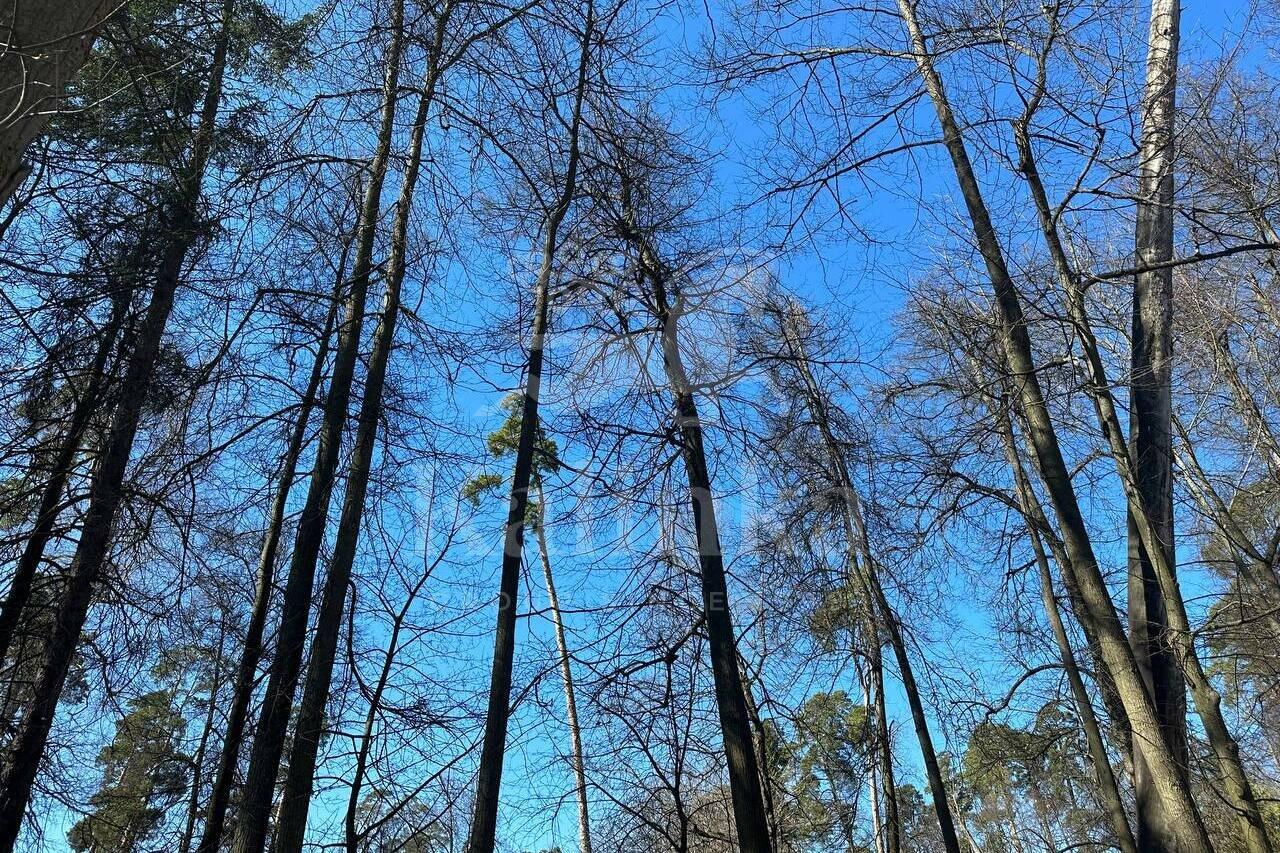 Участок 23.3 сот.