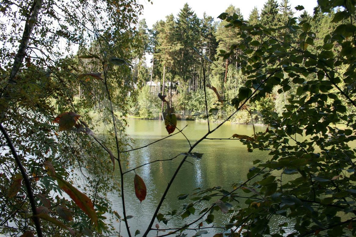 Участок 123 сот.