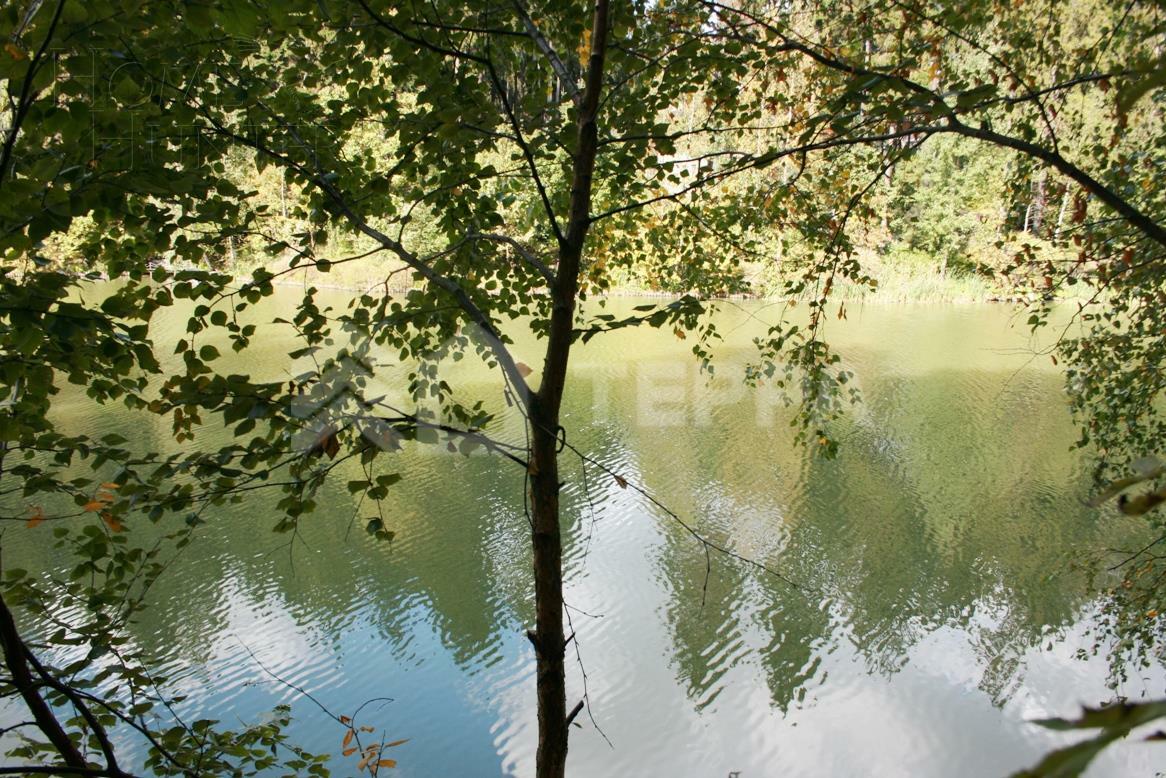 Участок 123 сот.