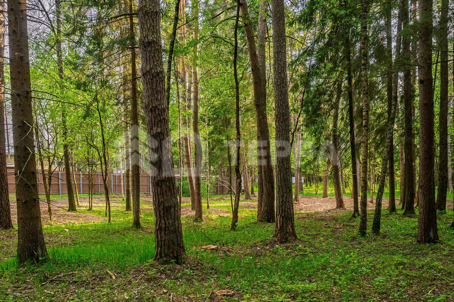 Участок 50 сот. в охраняемом поселке