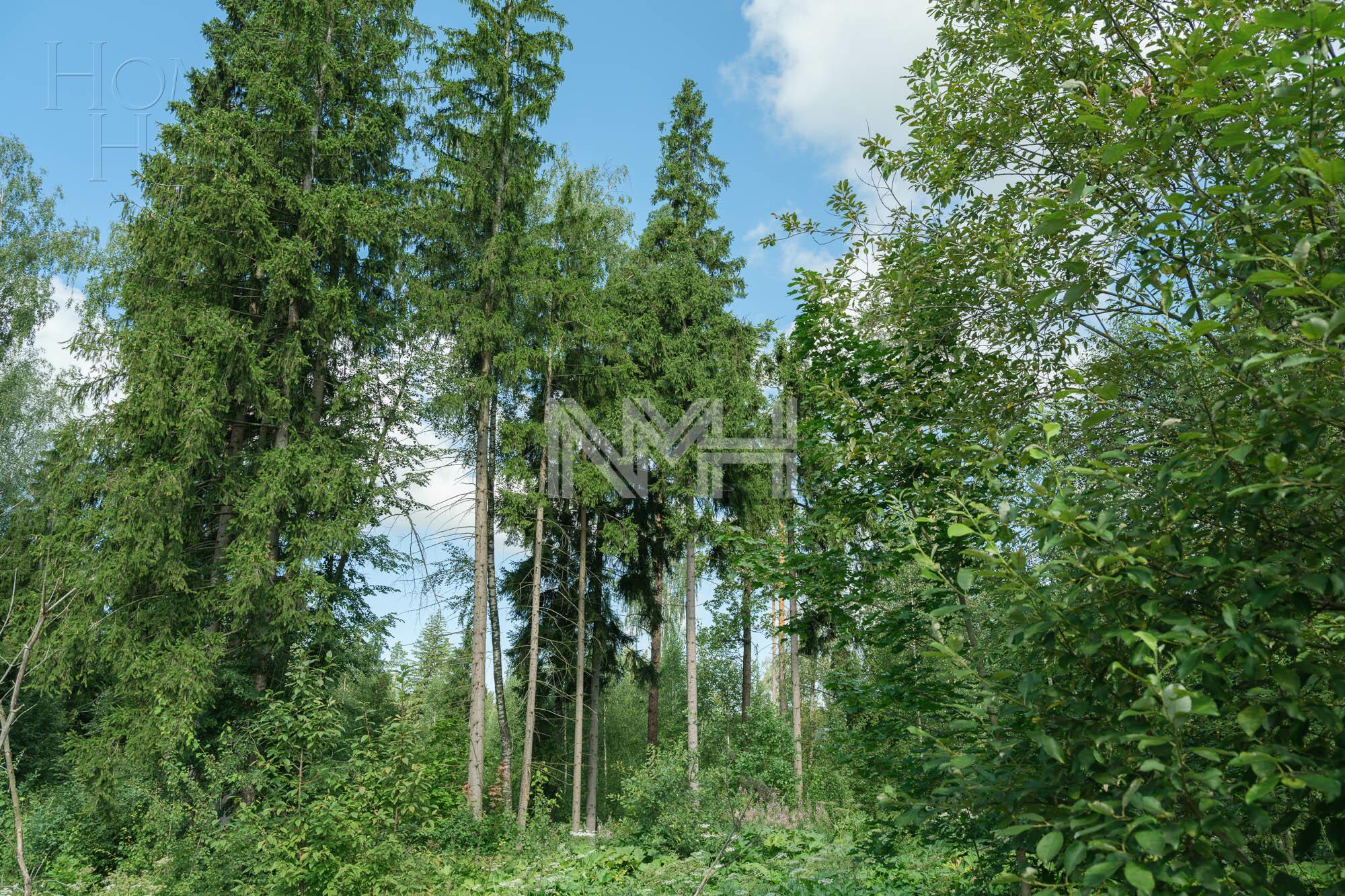 Участок 102.3 сот. в охраняемом поселке