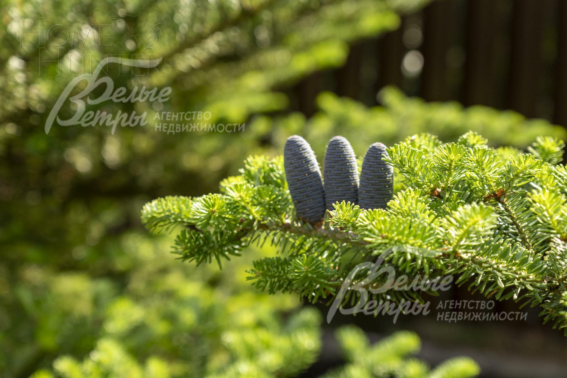 2-этажный коттедж 510 м² без отделки