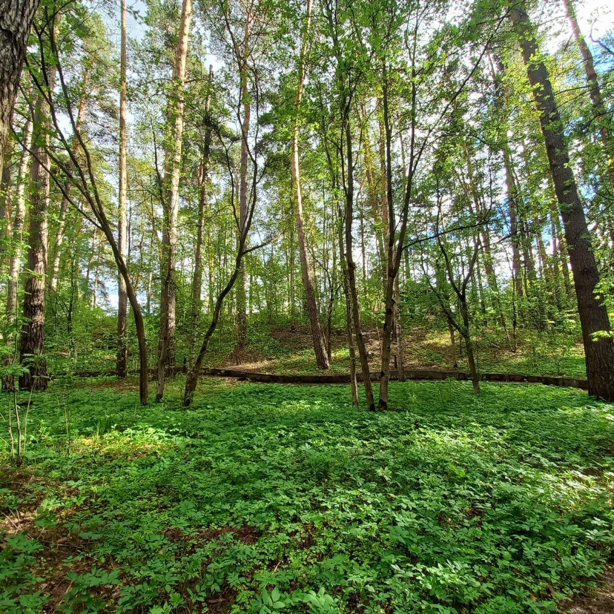 2-этажный коттедж 900 м² без отделки