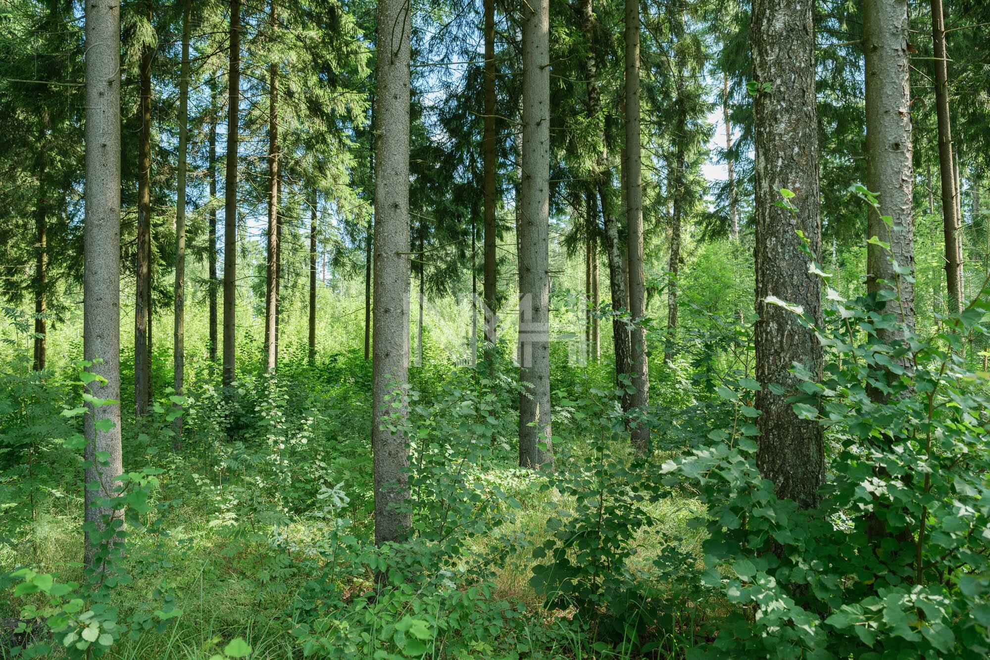 Участок 102.3 сот. в охраняемом поселке