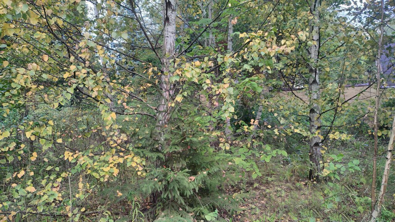 Участок 31 сот. в охраняемом поселке