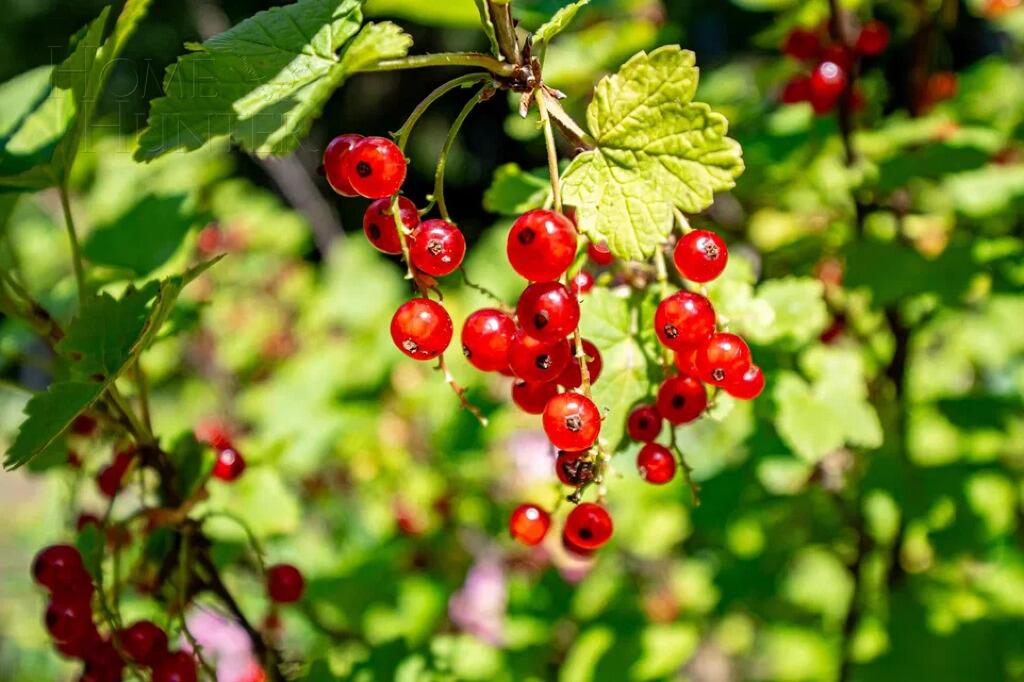 2-этажный коттедж 342 м² с отделкой