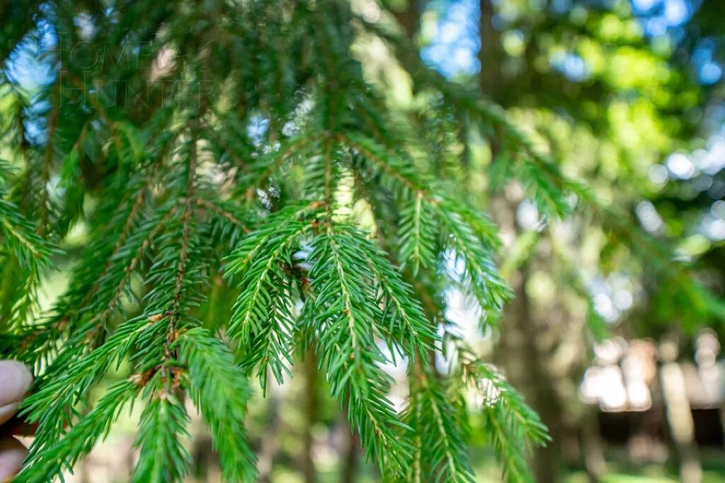 2-этажный коттедж 342 м² с отделкой