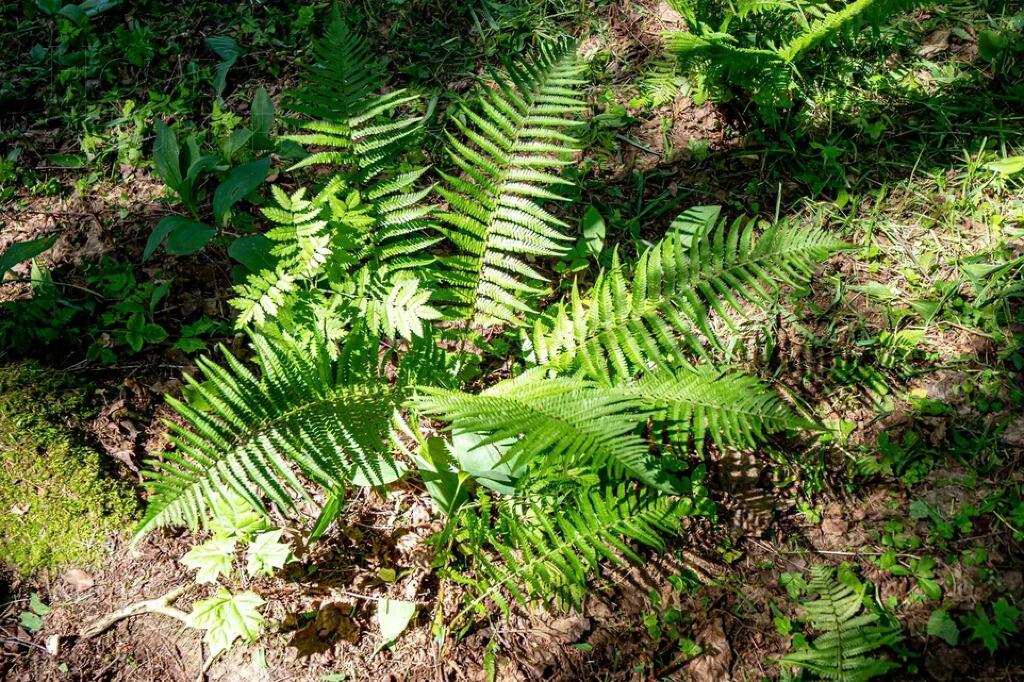 2-этажный коттедж 342 м² с отделкой