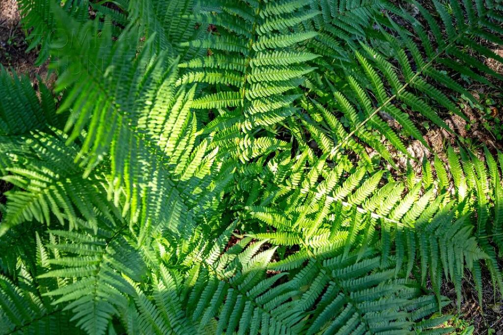 2-этажный коттедж 342 м² с отделкой