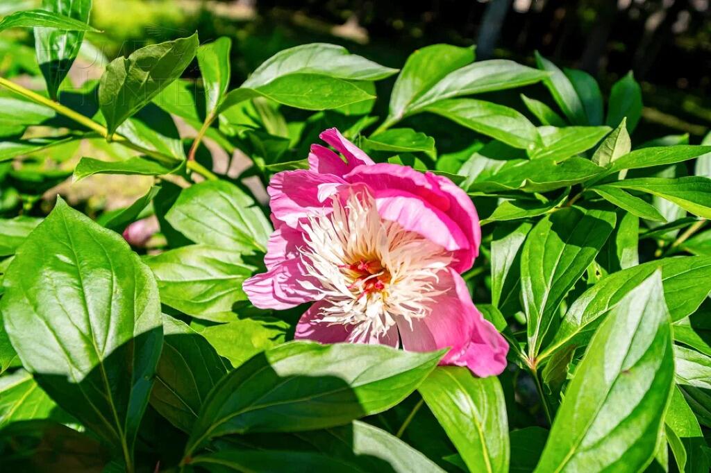 2-этажный коттедж 342 м² с отделкой