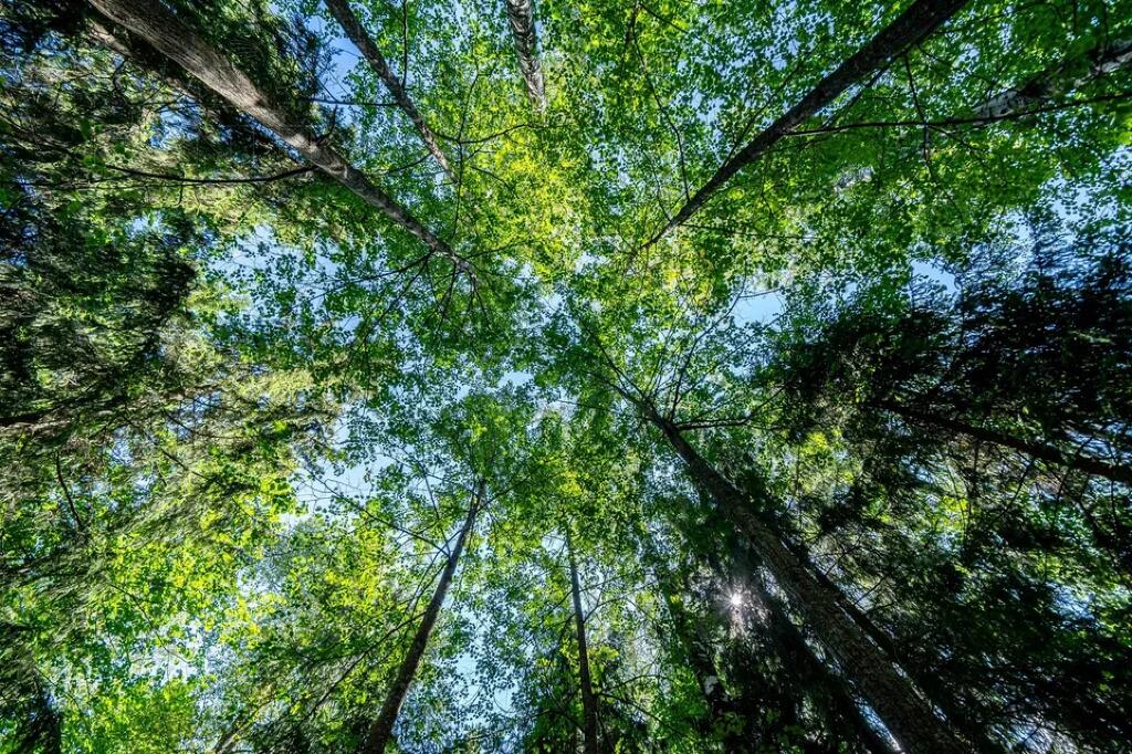 2-этажный коттедж 342 м² с отделкой