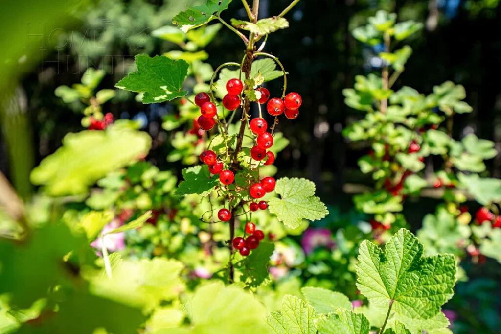 2-этажный коттедж 342 м² с отделкой