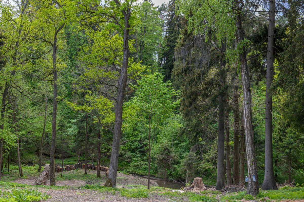 2-этажный коттедж 1 050 м² без отделки