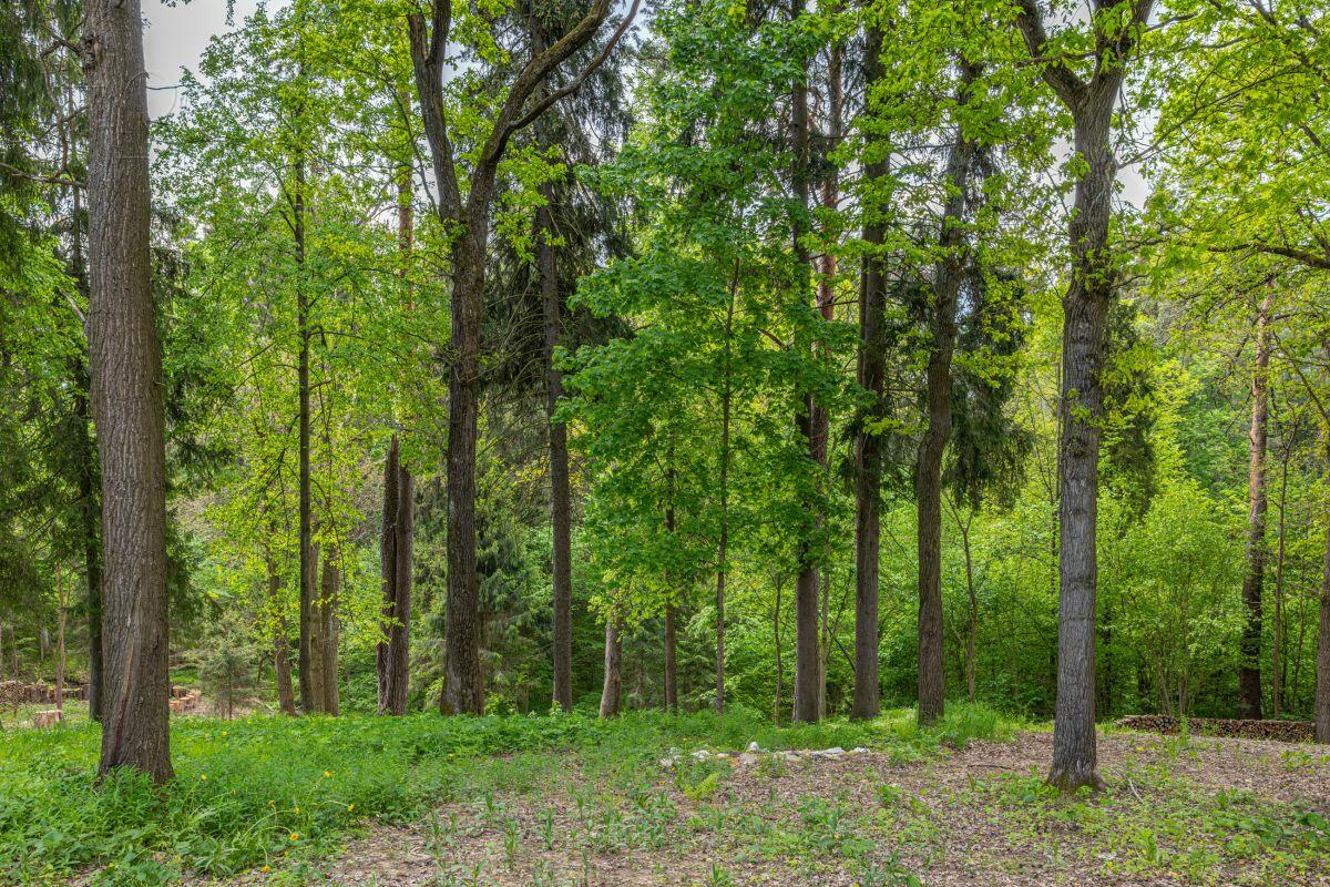 2-этажный коттедж 1 050 м² без отделки