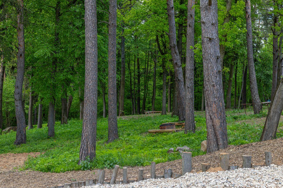 2-этажный коттедж 1 050 м² без отделки