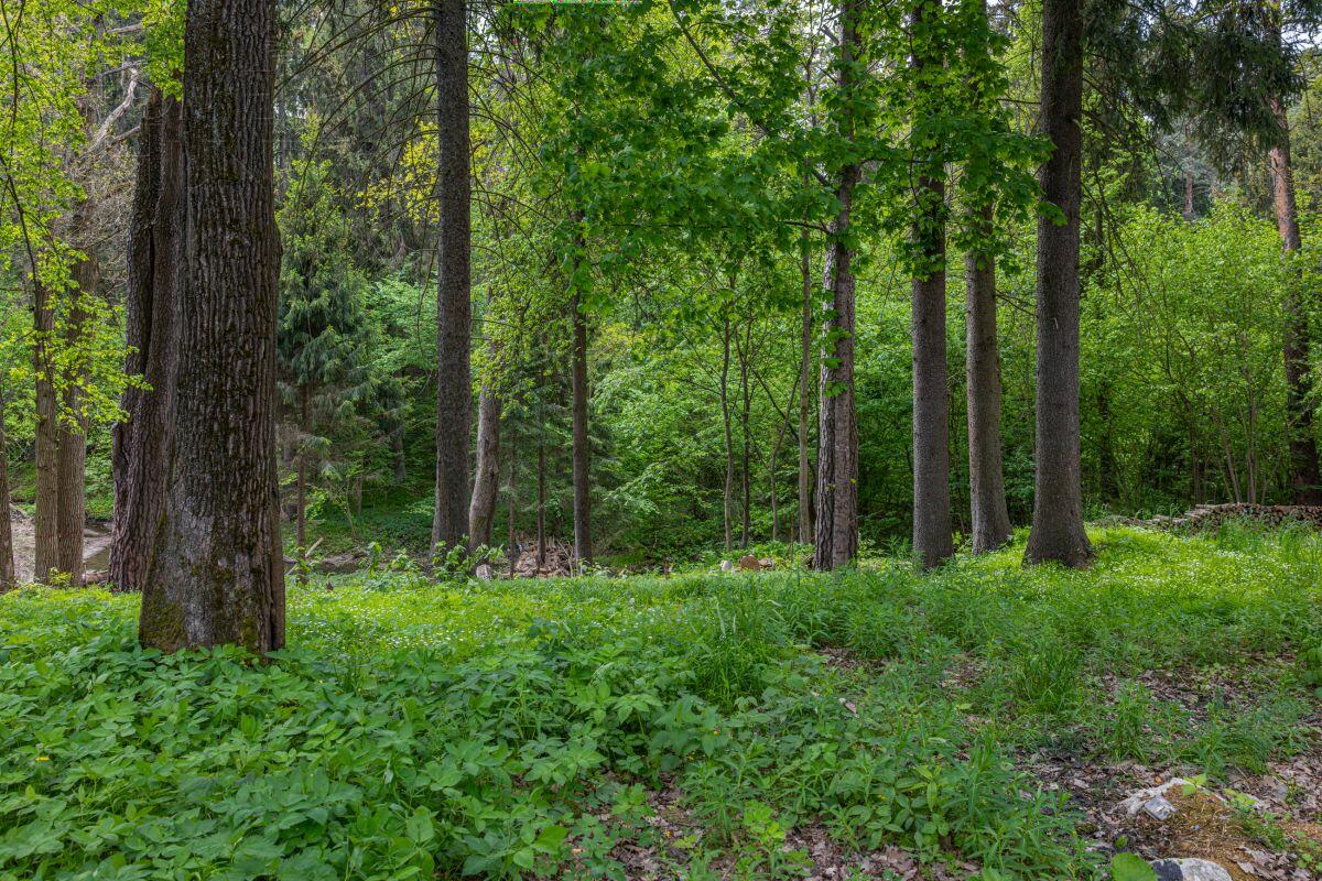 2-этажный коттедж 1 050 м² без отделки