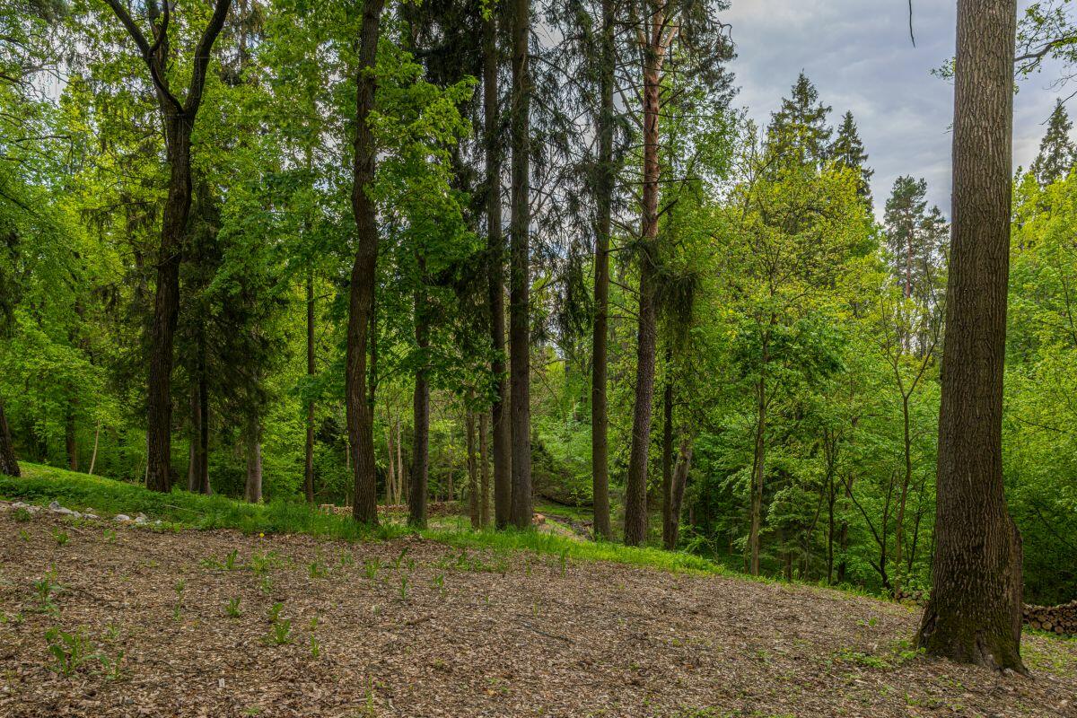 2-этажный коттедж 1 050 м² без отделки