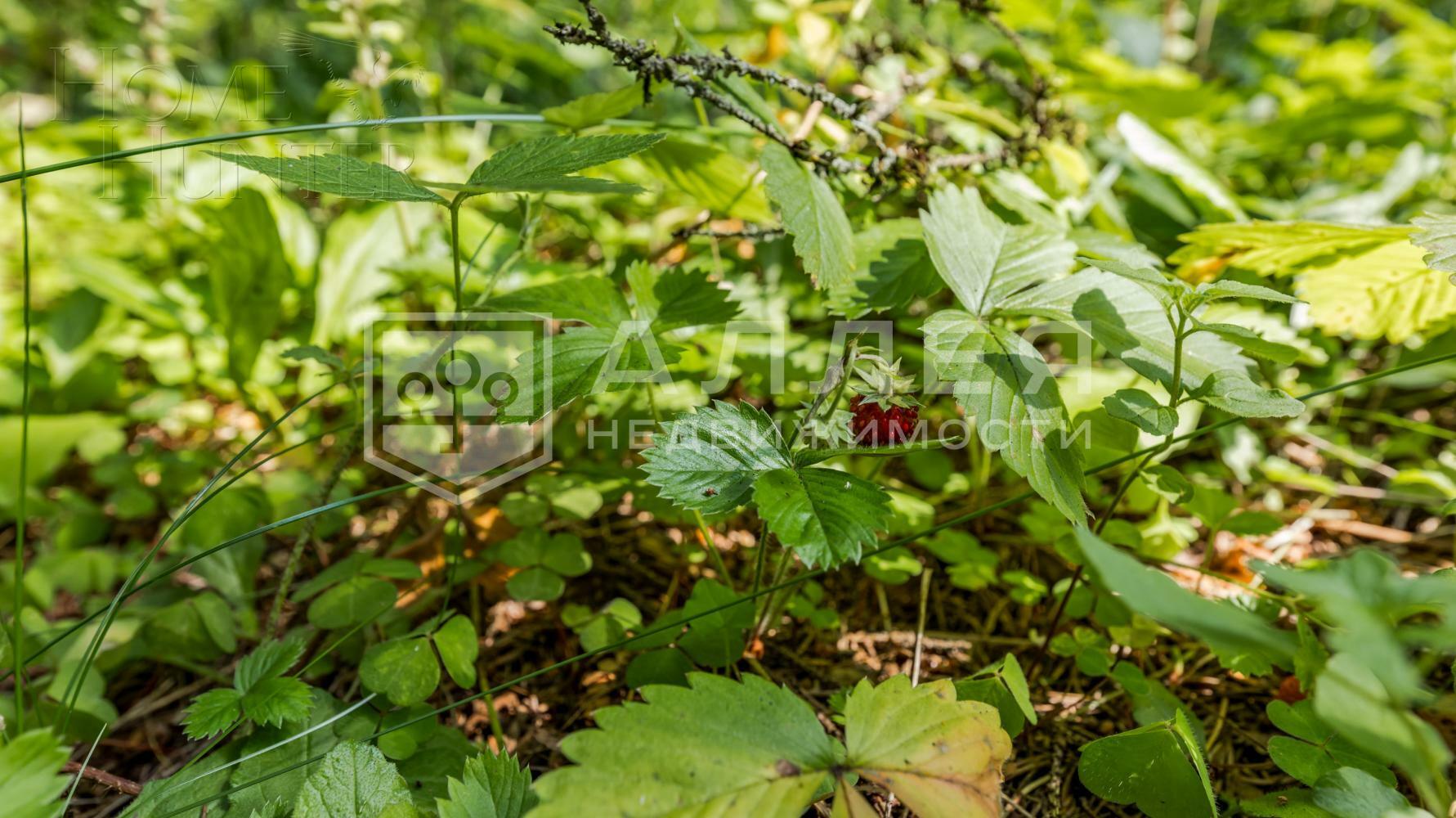 2-этажный коттедж 350 м² с отделкой