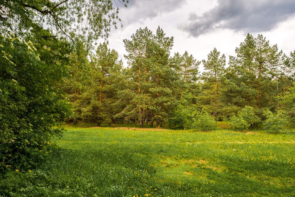 Участок 17 сот.