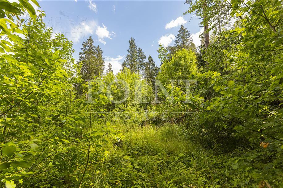 Участок 50 сот. в охраняемом поселке