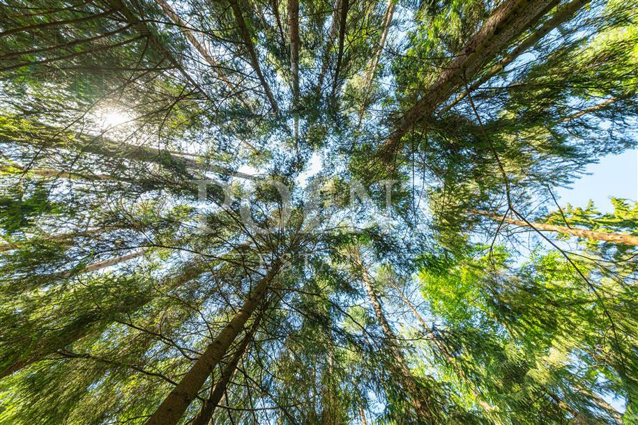 Участок 50 сот. в охраняемом поселке