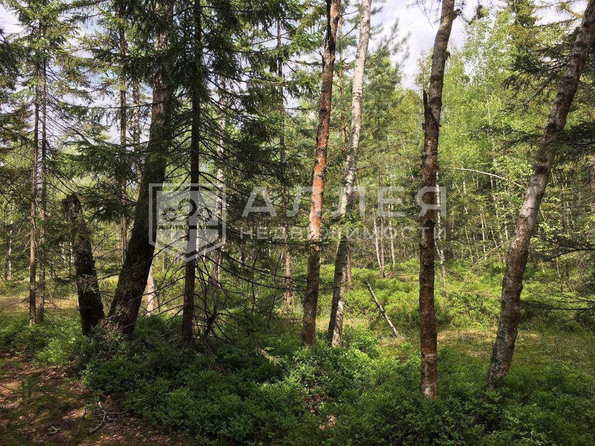 2-этажный коттедж 300 м² с отделкой