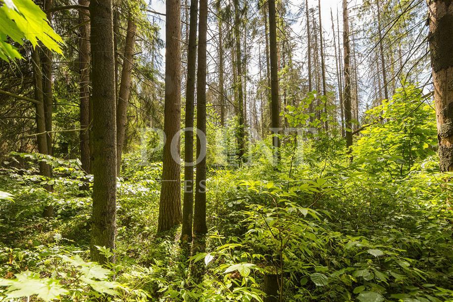 Участок 50 сот. в охраняемом поселке