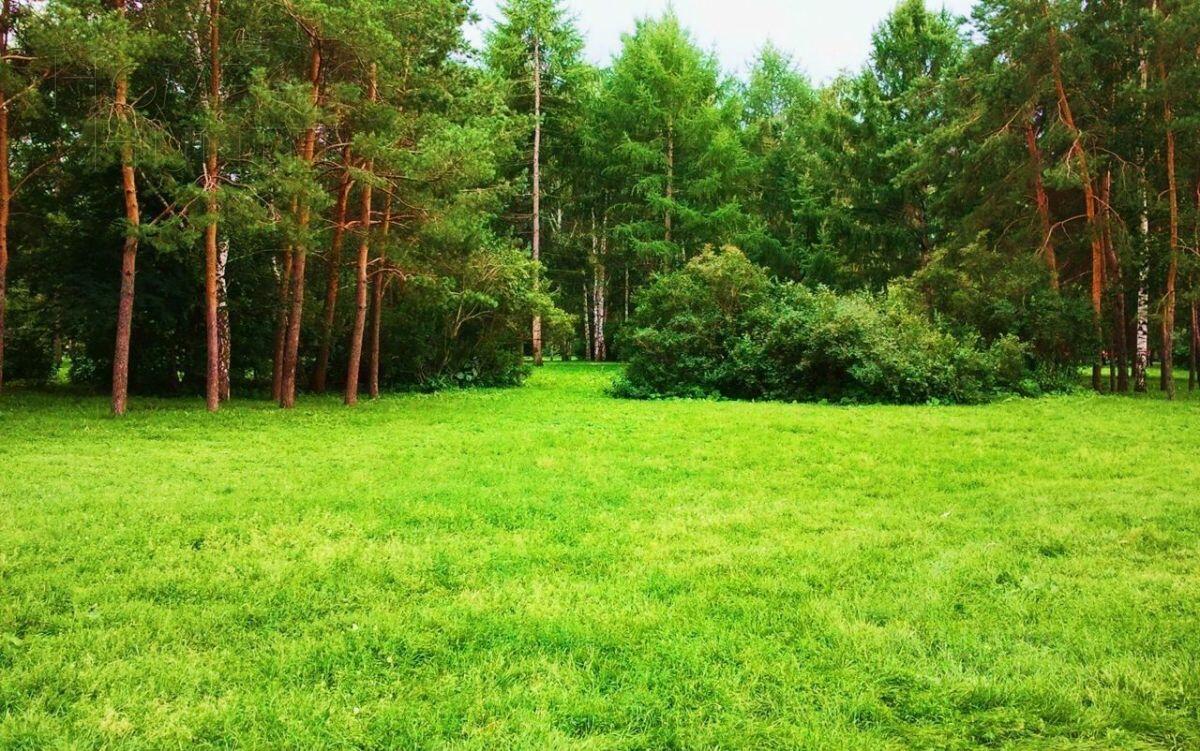 Участок 66 сот. в охраняемом поселке