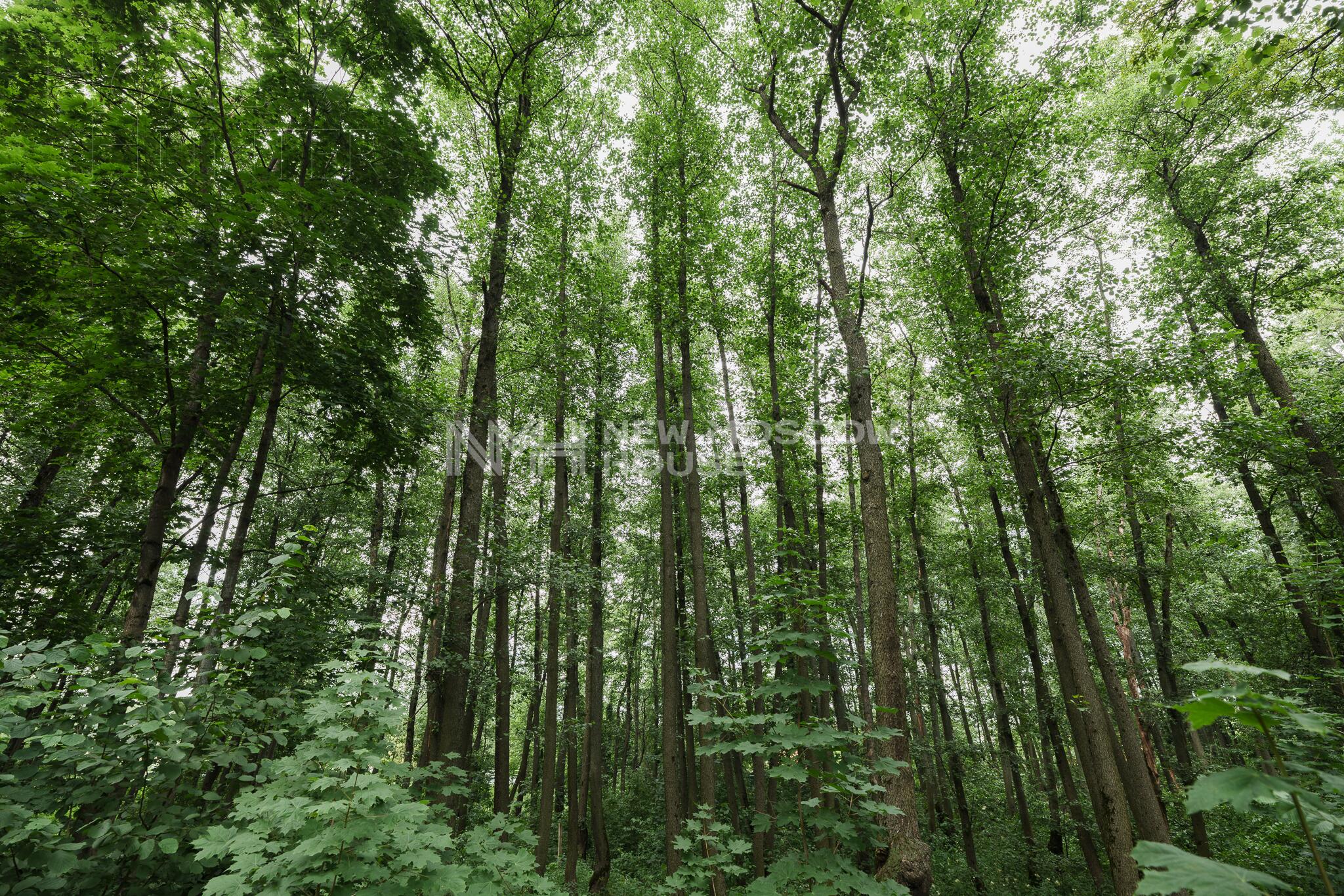 2-этажный коттедж 275 м² без отделки