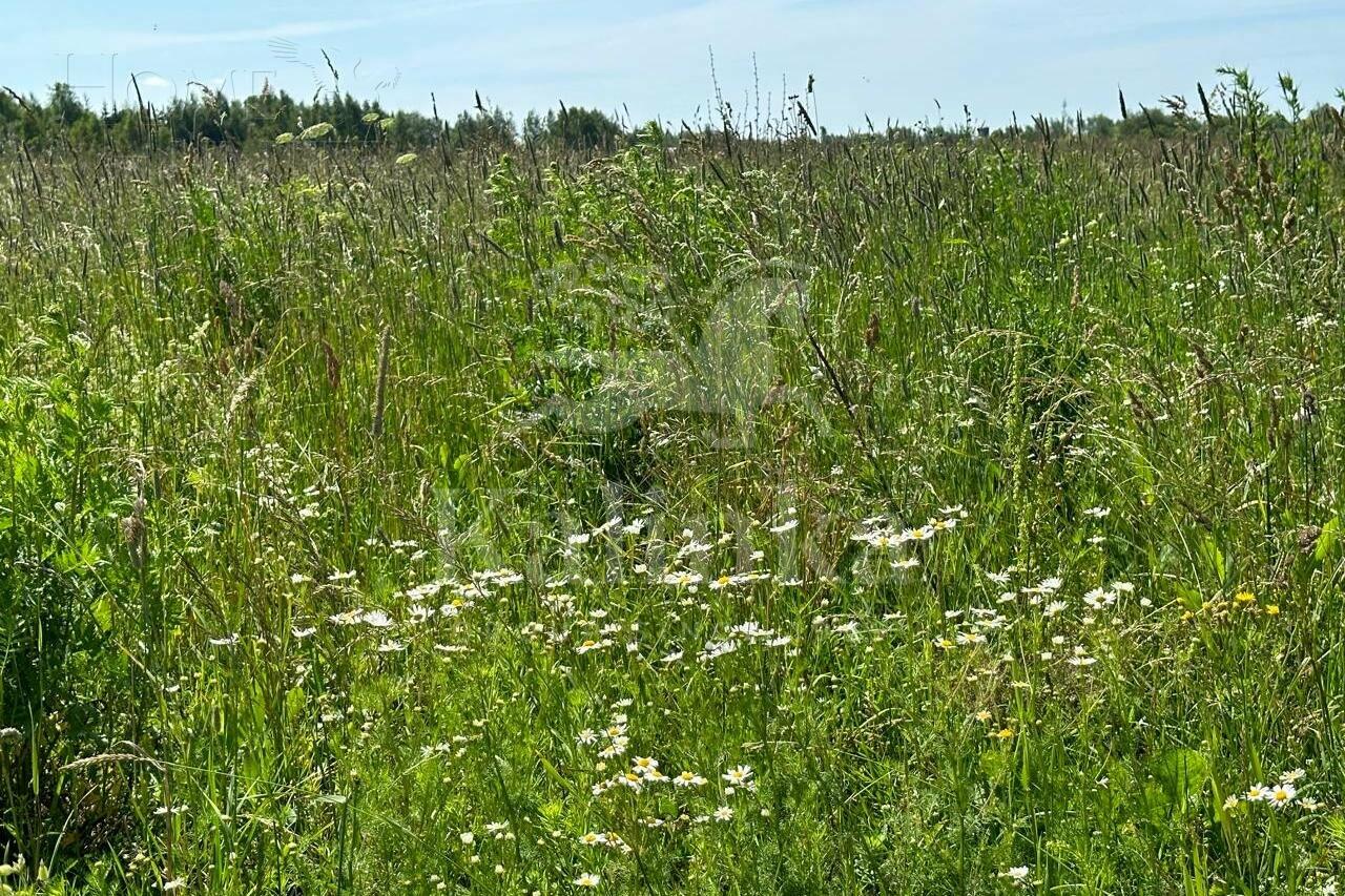 Участок 136.23 сот. в охраняемом поселке