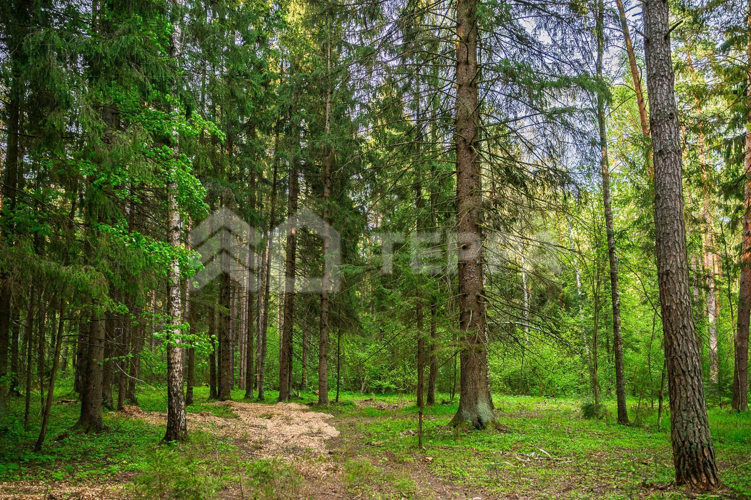 Участок 30 сот. в охраняемом поселке