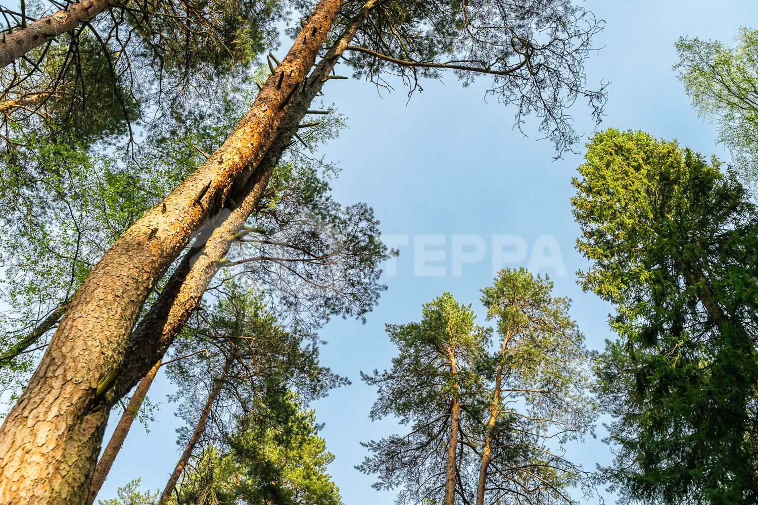 Участок 30 сот. в охраняемом поселке