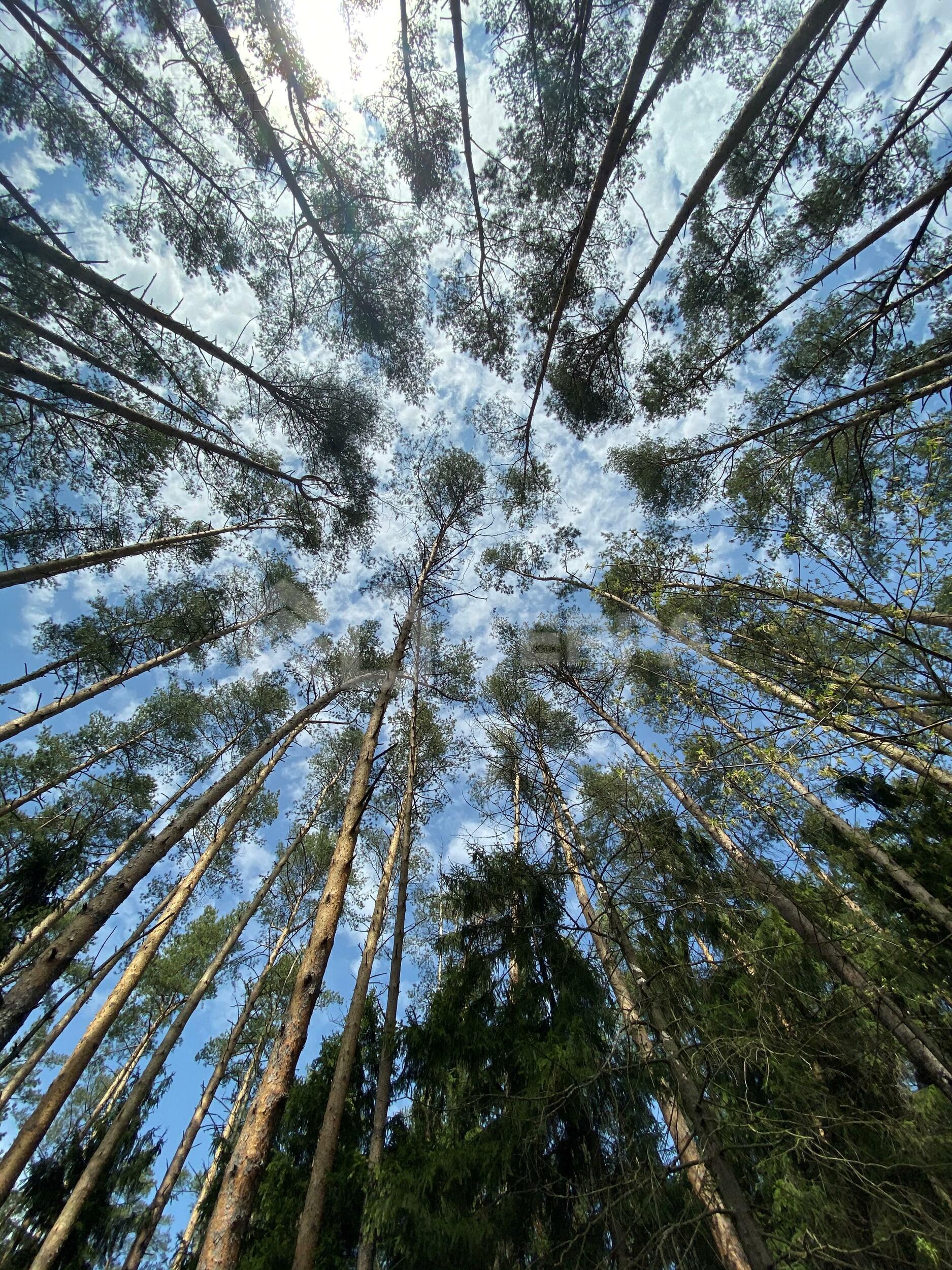 Участок 30 сот. в охраняемом поселке