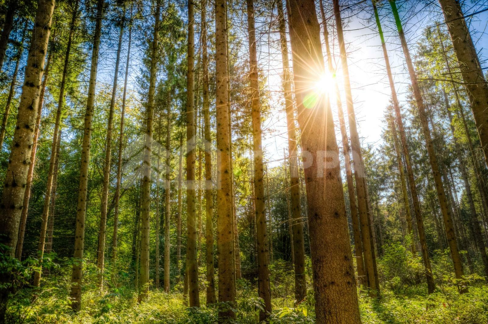 Участок 40 сот. в охраняемом поселке