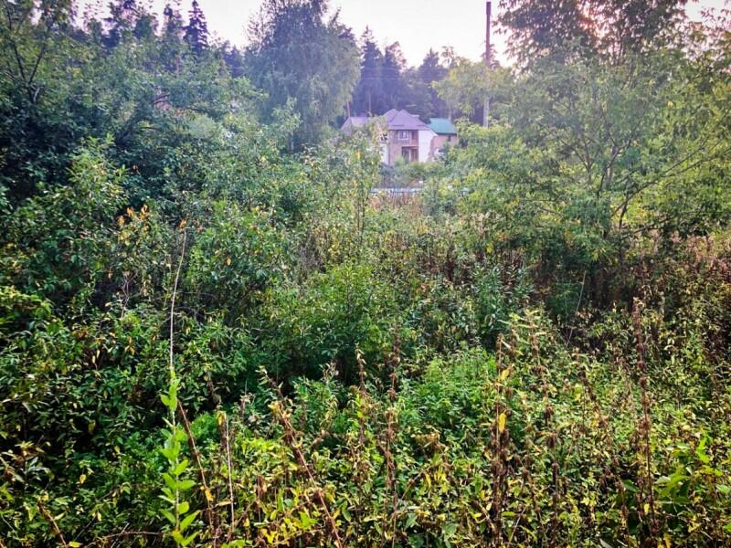 Участок 22 сот.