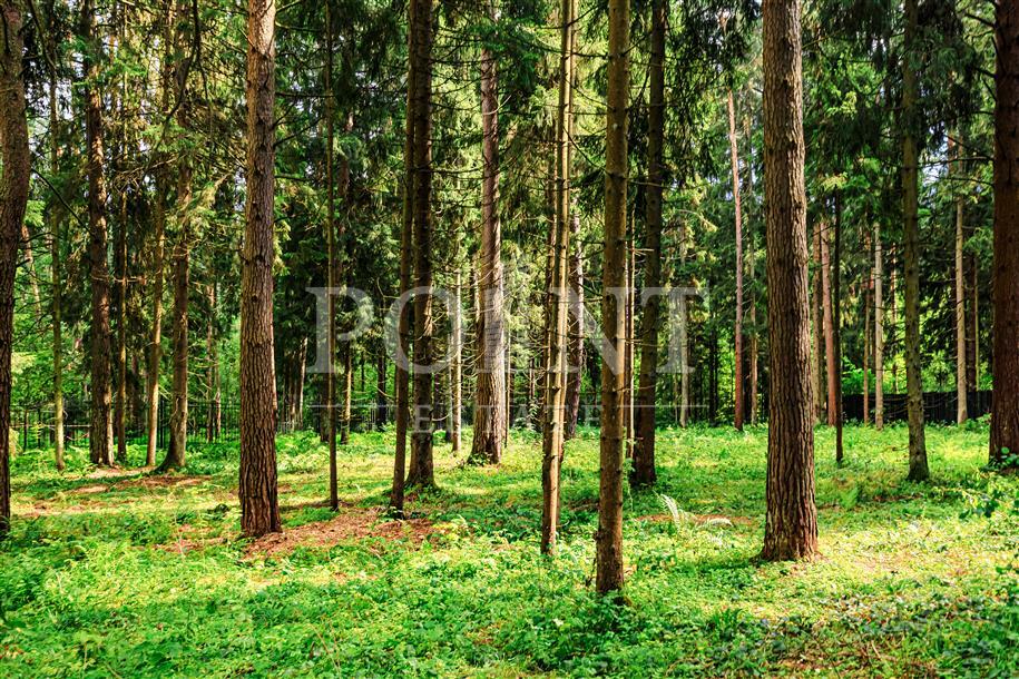 Участок 109.32 сот. в охраняемом поселке