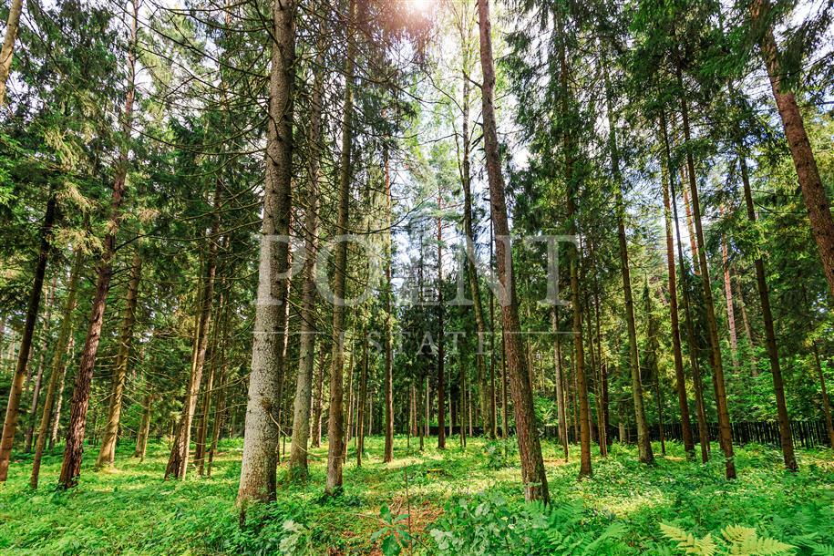 Участок 109.32 сот. в охраняемом поселке