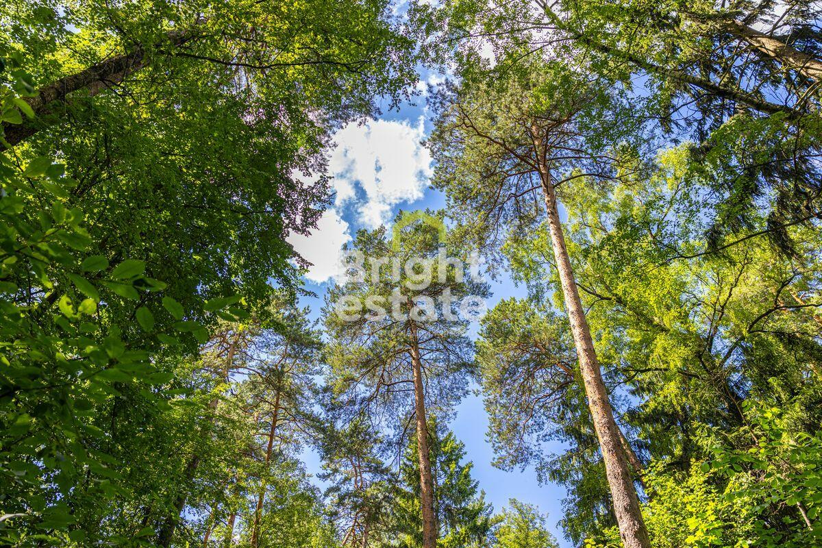 Участок 285 сот. в охраняемом поселке