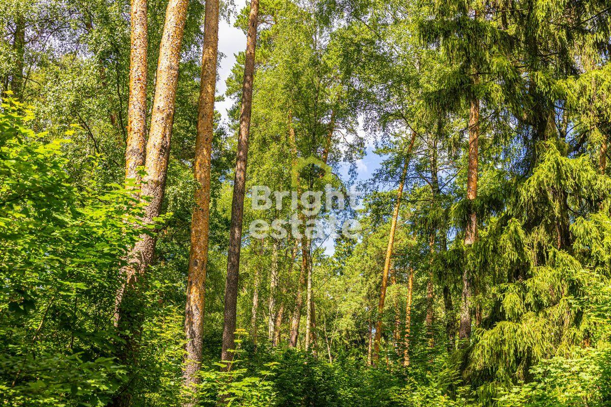 Участок 285 сот. в охраняемом поселке