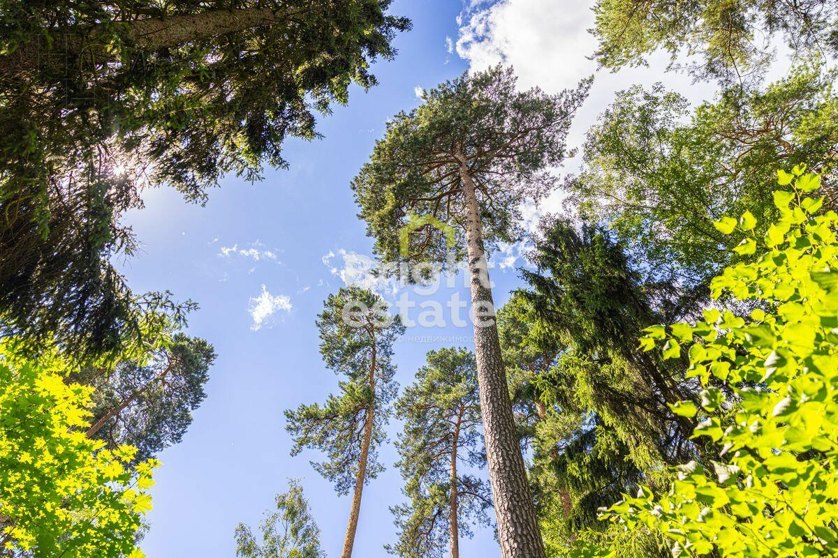 Участок 285 сот. в охраняемом поселке