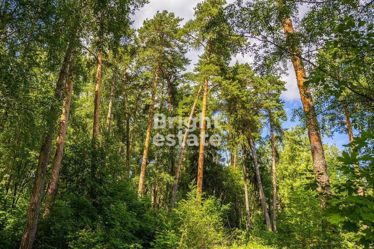 Участок 285 сот. в охраняемом поселке