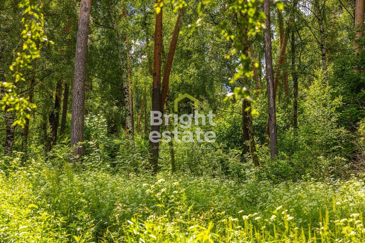 Участок 285 сот. в охраняемом поселке