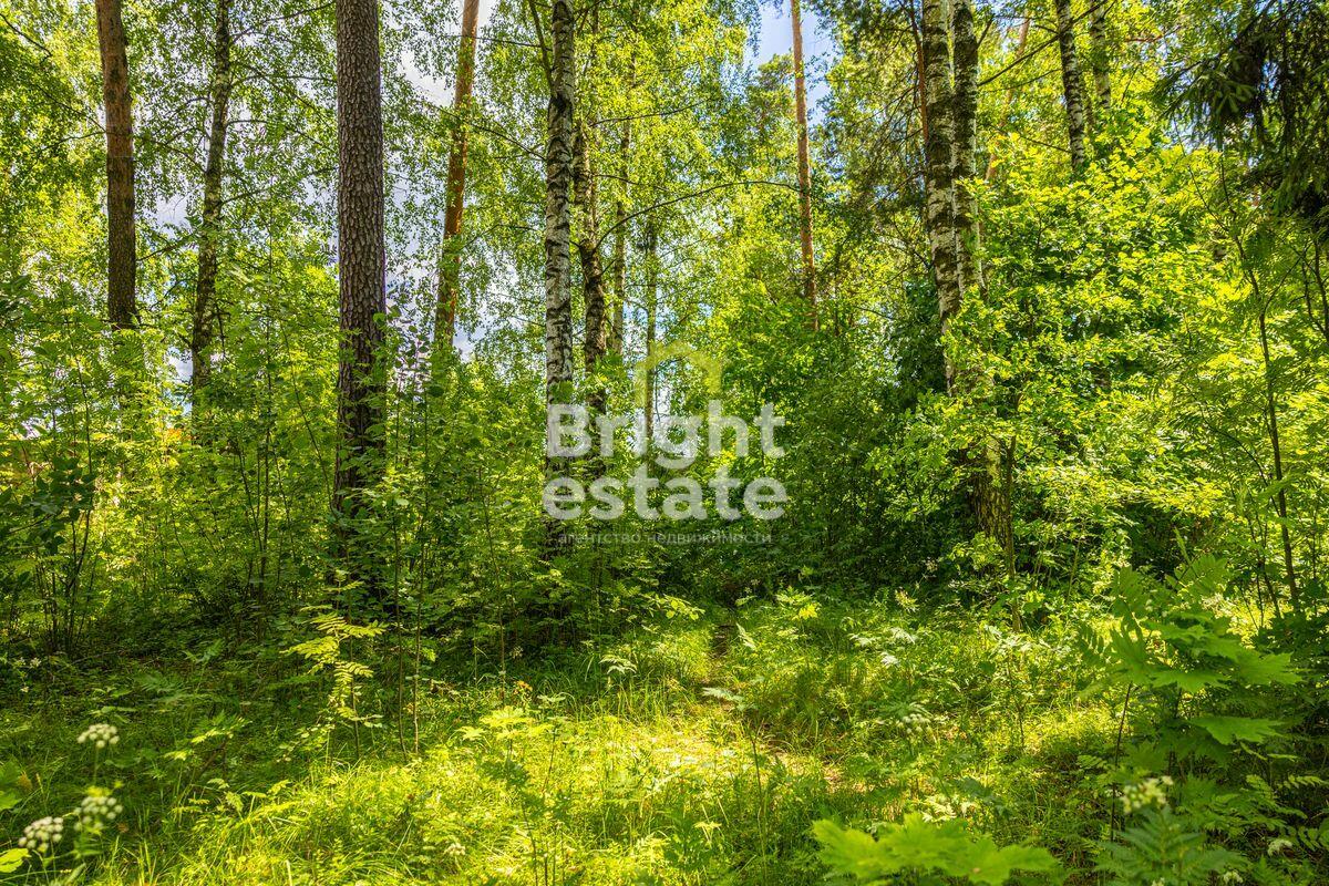 Участок 285 сот. в охраняемом поселке