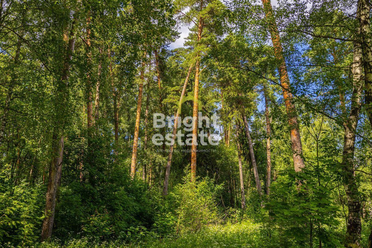 Участок 285 сот. в охраняемом поселке