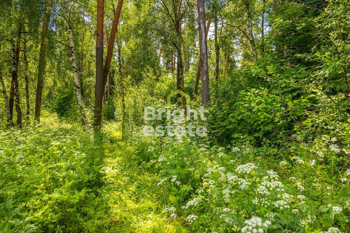 Участок 285 сот. в охраняемом поселке