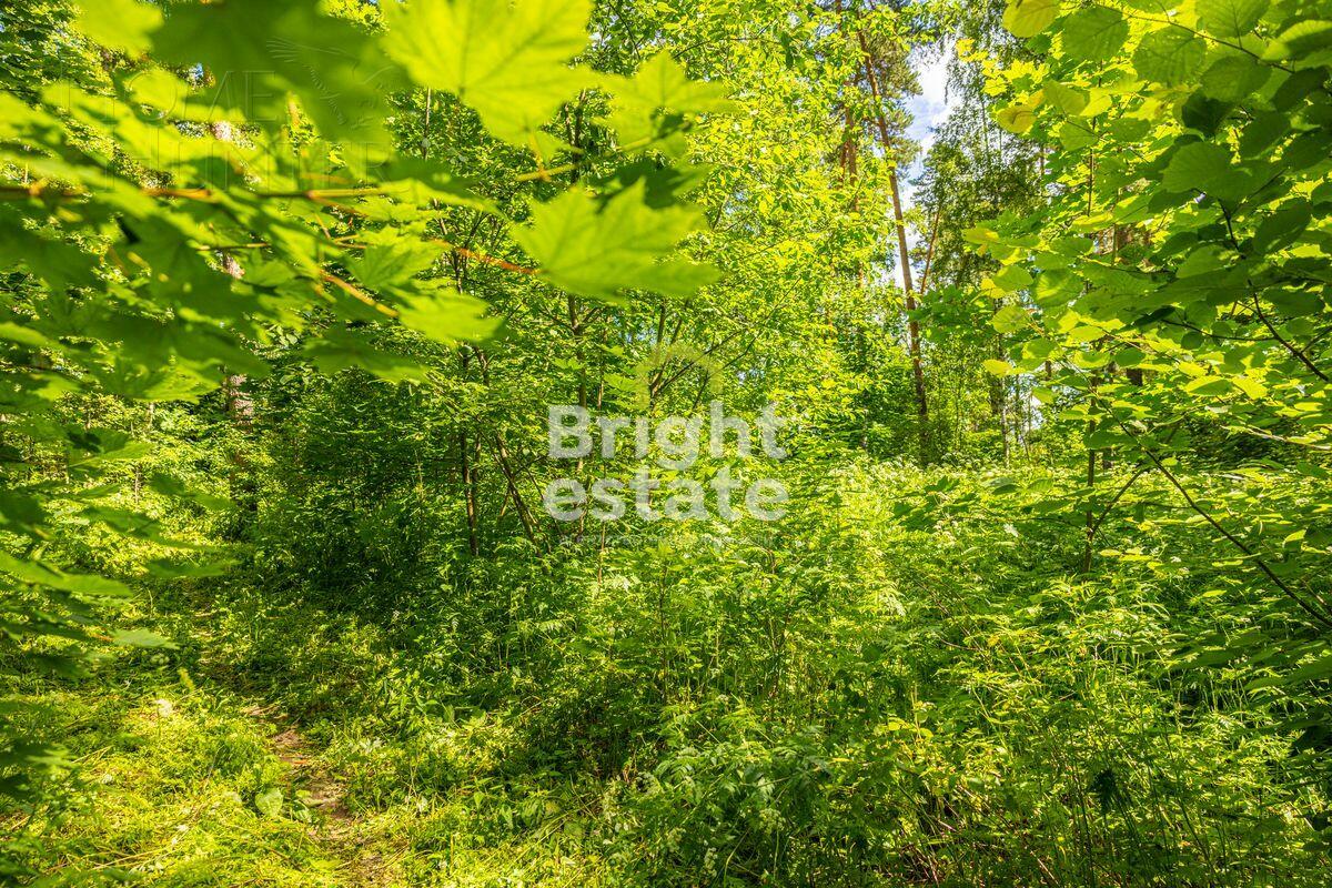 Участок 285 сот. в охраняемом поселке