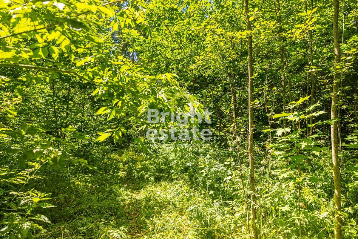 Участок 285 сот. в охраняемом поселке