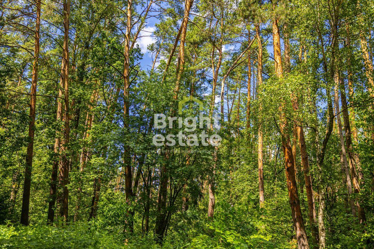 Участок 285 сот. в охраняемом поселке