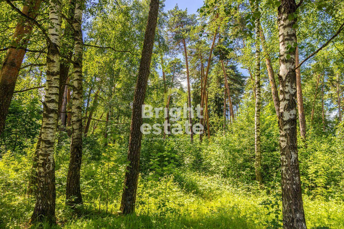 Участок 285 сот. в охраняемом поселке